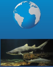 L'aquarium du èème continent