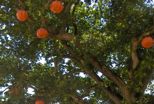 Le potager extraordinaire